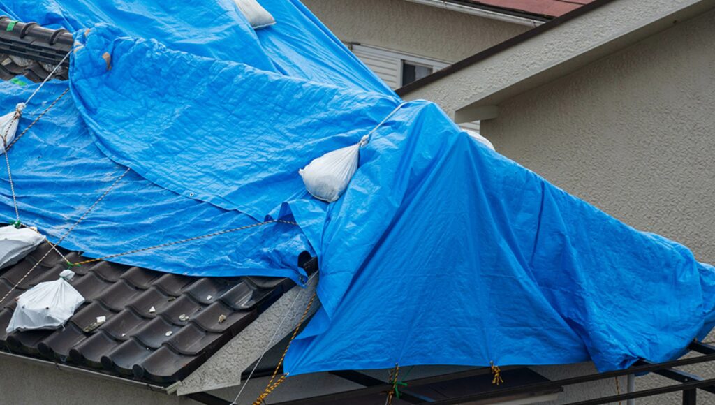 how-to-tarp-a-roof-step-3-ANt
