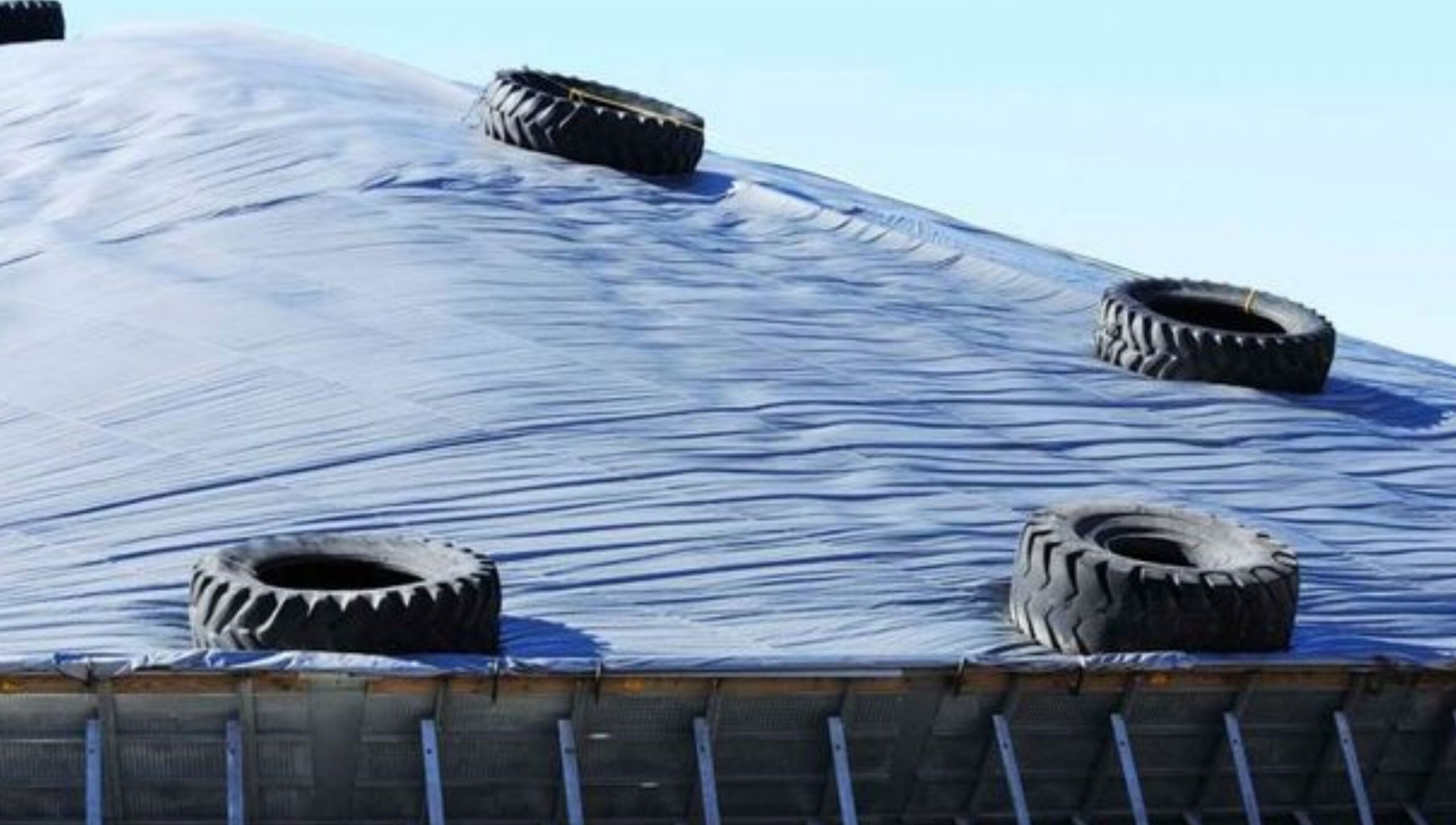 how-to-tarp-a-roof-step-7-ANt