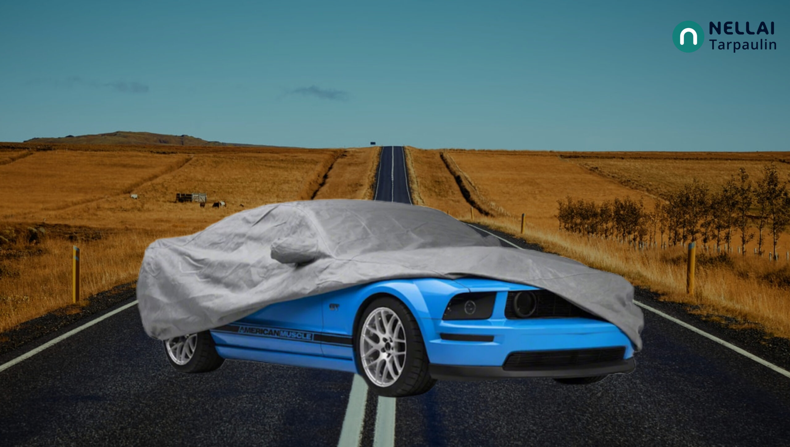 Best Car Covers in India