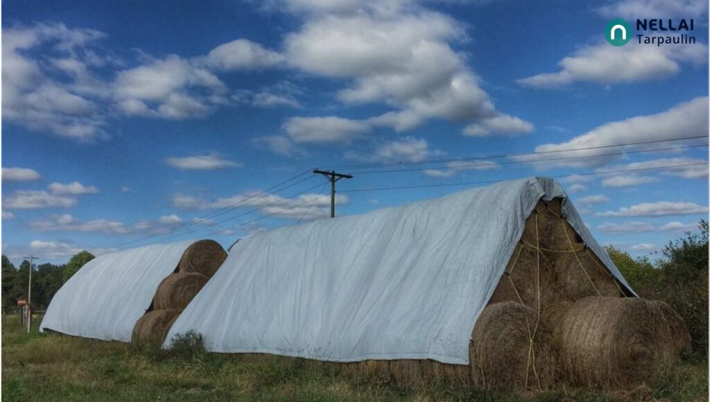 What is Hay tarpaulin? 