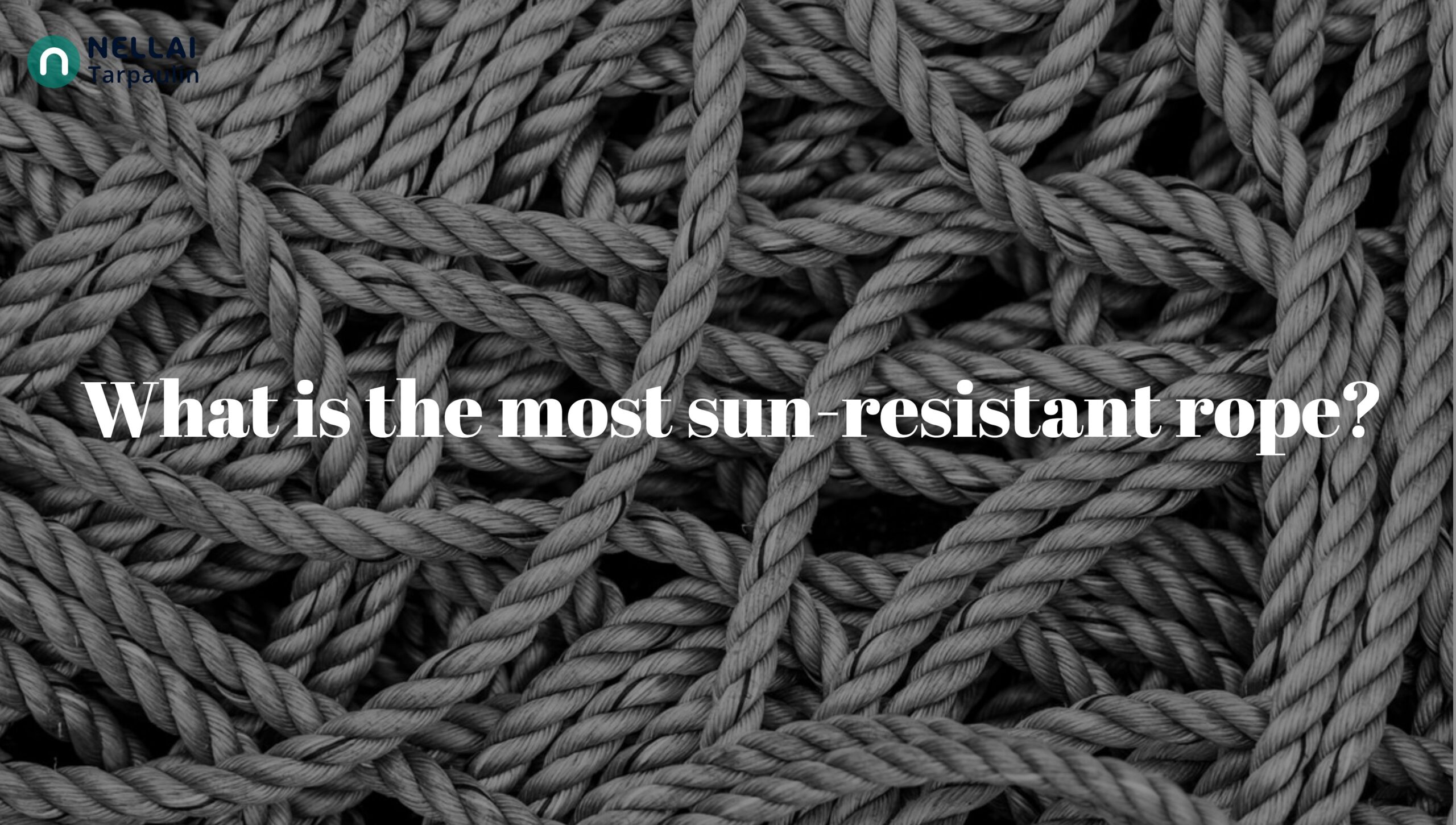What is the most sun-resistant rope?